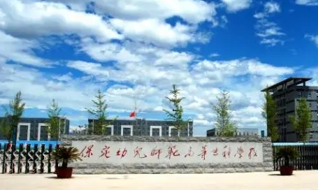 保定幼兒師范高等?？茖W(xué)校中外合作辦學(xué)專業(yè)一覽 （2024）