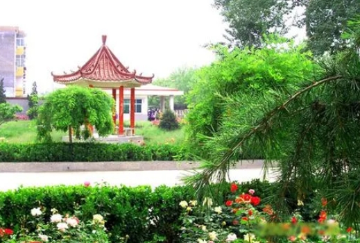 靈壽護(hù)駕疃高級(jí)中學(xué)怎么樣、好不好