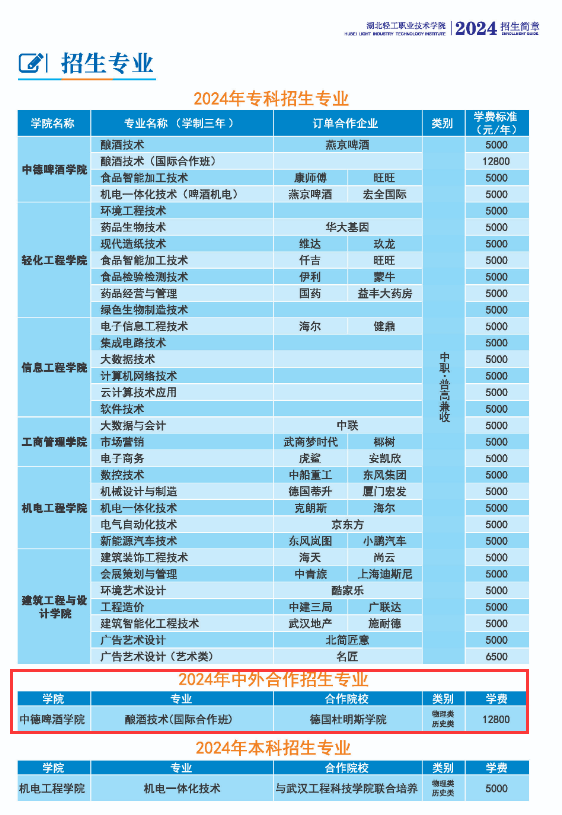 湖北輕工職業(yè)技術(shù)學(xué)院中外合作辦學(xué)專(zhuān)業(yè)有哪些？