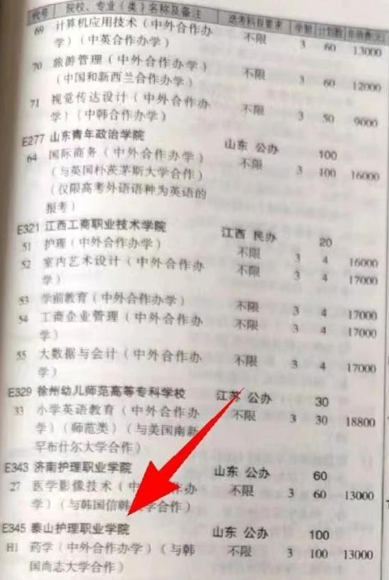 泰山護理職業(yè)學院中外合作辦學專業(yè)有哪些？