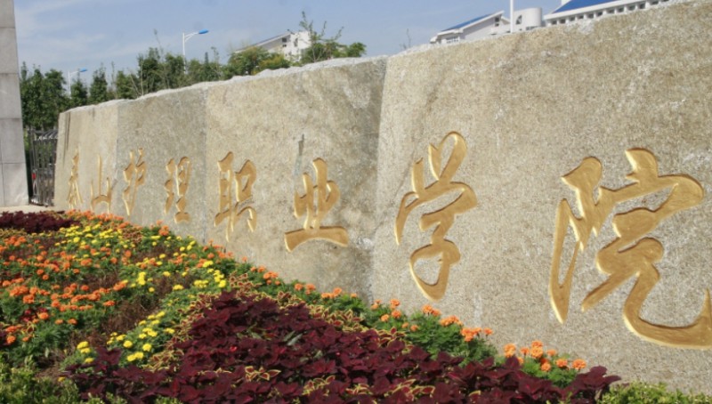 泰山護理職業(yè)學院中外合作辦學專業(yè)一覽 （2024）