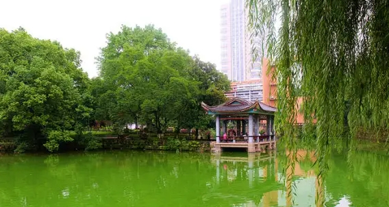 信息技術(shù)部：筑牢冬日校園“防火墻”，守護(hù)師生安全