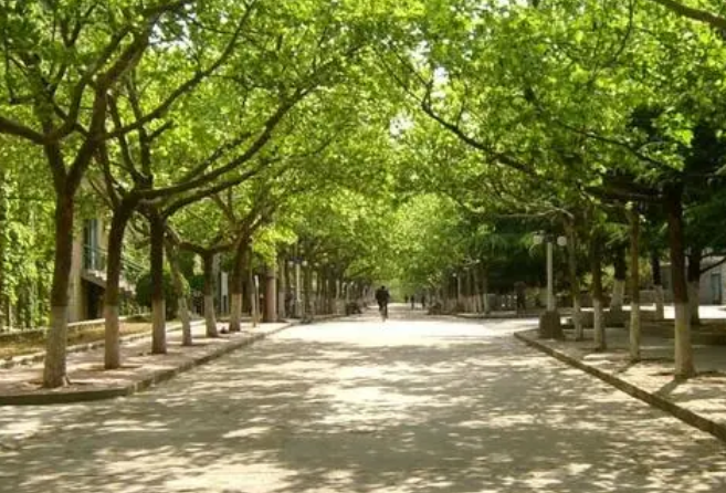 于都科技學(xué)校劉忠民一行來(lái)贛州理工學(xué)校參觀考察