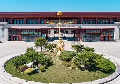 安國藥城學(xué)校怎么樣、好不好