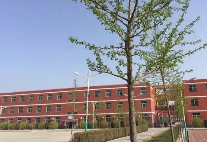 2025保定市徐水天源學(xué)校招生計劃 招生人數(shù)是多少(附要求、條件、對象)