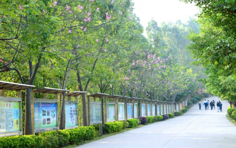 廣東2025年讀中專學校有什么要求