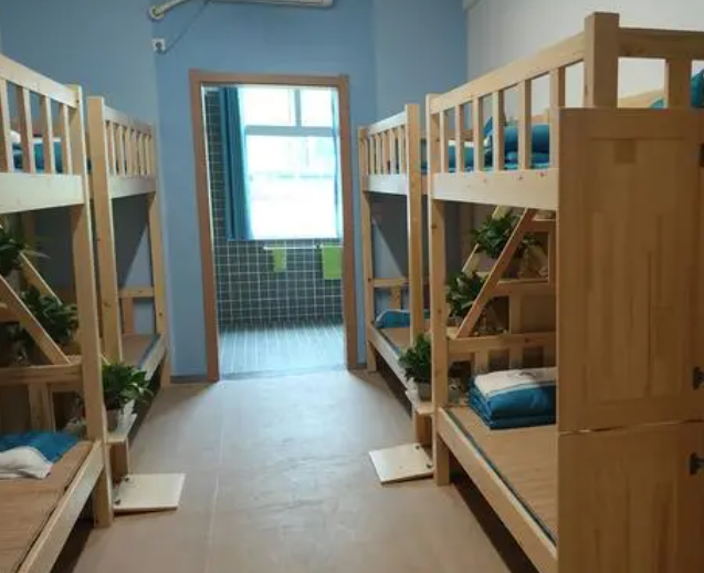 技能比拼展鋒芒，競賽奪魁獲佳績