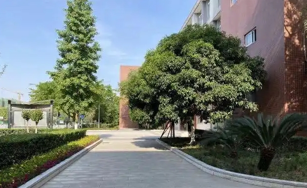 新津?qū)嶒灨咧械刂?，乘車路線