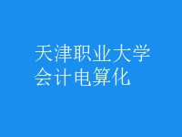 會計(jì)電算化