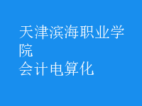 會計(jì)電算化