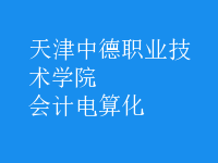 會計(jì)電算化
