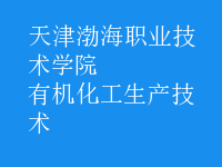 有機化工生產(chǎn)技術