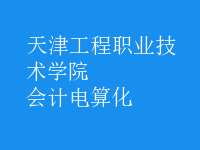 會計(jì)電算化