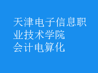會計(jì)電算化