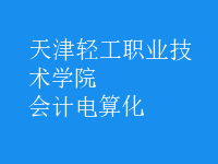 會計(jì)電算化