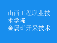 金屬礦開(kāi)采技術(shù)
