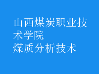 煤質(zhì)分析技術