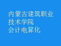 會計電算化