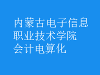 會計電算化
