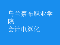 會計電算化