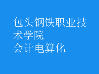 會計電算化