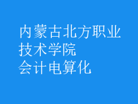 會計電算化