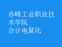 會計電算化