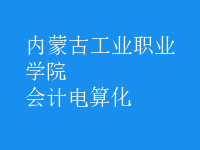 會計電算化