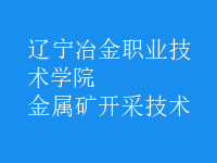 金屬礦開(kāi)采技術(shù)