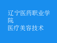 醫(yī)療美容技術