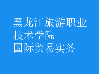 國際貿(mào)易實務(wù)