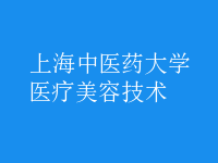 醫(yī)療美容技術