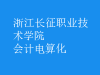 會計(jì)電算化