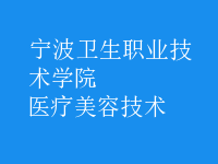 醫(yī)療美容技術