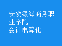 會計電算化