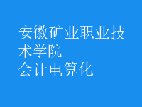 會計電算化