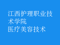 醫(yī)療美容技術