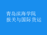 報關(guān)與國際貨運(yùn)