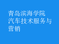 汽車技術(shù)服務(wù)與營銷