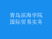 國際貿(mào)易實(shí)務(wù)