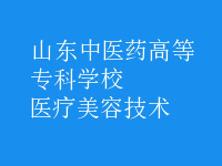 醫(yī)療美容技術