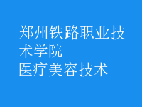 醫(yī)療美容技術