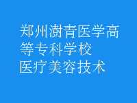 醫(yī)療美容技術