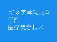 醫(yī)療美容技術