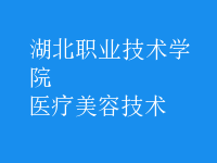 醫(yī)療美容技術