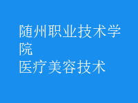 醫(yī)療美容技術