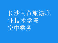 空中乘務