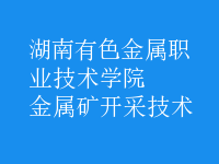 金屬礦開(kāi)采技術(shù)