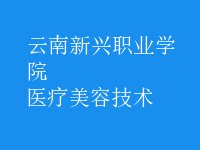 醫(yī)療美容技術