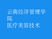醫(yī)療美容技術
